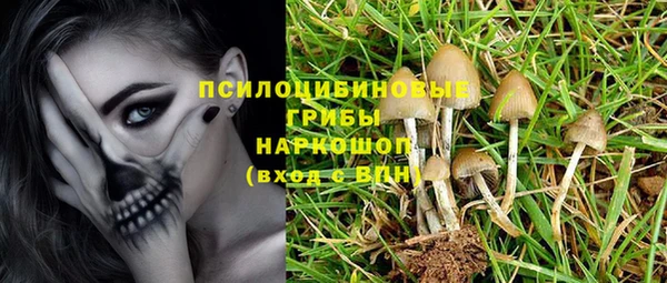 амф Сатка
