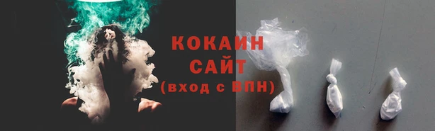 амф Сатка