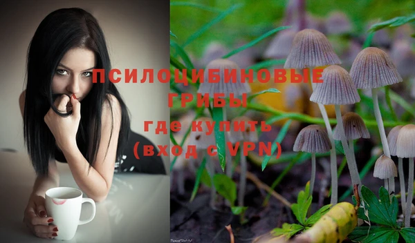 бошки Коряжма