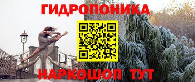 хмурый Кинель