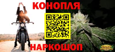 сатива Коммунар