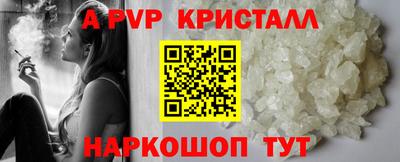 скорость Кингисепп