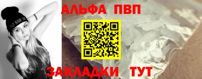 скорость Кингисепп
