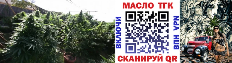 купить закладку  Костомукша  ТГК THC oil 
