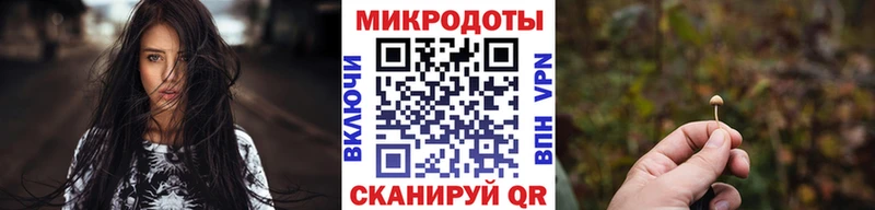 omg   Костомукша  Псилоцибиновые грибы мухоморы 