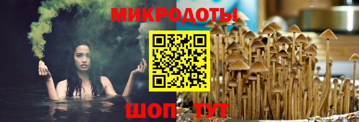 Костомукша  закладки  Вход с VPN  Галлюциногенные грибы прущие грибы 